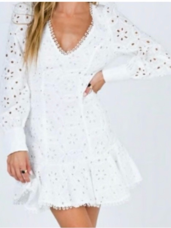 Princess Polly Dresses & Skirts - Princess Polly White Eyelet V-Neck Long Sleeve Mini Dress